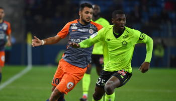 Lille - Montpellier : un nouveau succès des Lillois ?