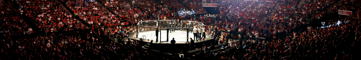 Les combats de MMA les plus attendus en 2021