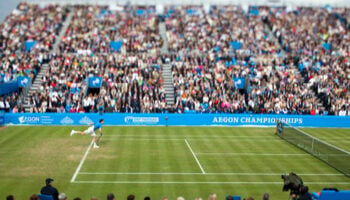 ATP Queens : Berrettini part favori