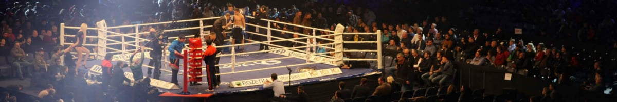 Principaux coups et mouvements de boxe dans le ring de l'UFC