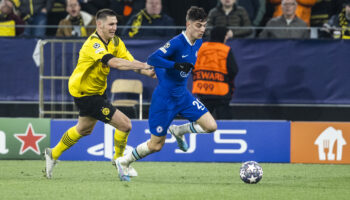 Benfica vs. Club Brugge, Champions League, voetbalweddenschappen