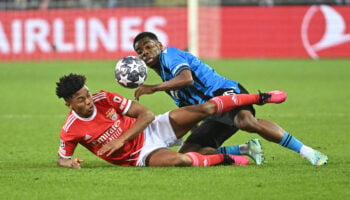 Benfica vs. Club Brugge, Champions League, voetbalweddenschappen